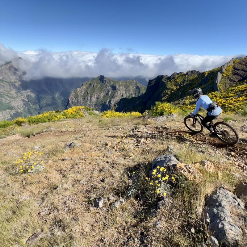 FullSizeRender Madeira