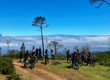 Madeira MTB Holidays