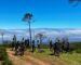 Madeira MTB Holidays